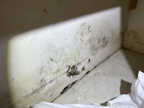 photo at Newton, KS on Sep 17, 2026: A thorough mold evaluation was performed in Newton to assess the property for any potential mold is photo at Newton, KS on Sep 17, 2026: A thorough mold evaluation was performed in Newton to assess the property for any potential mold is