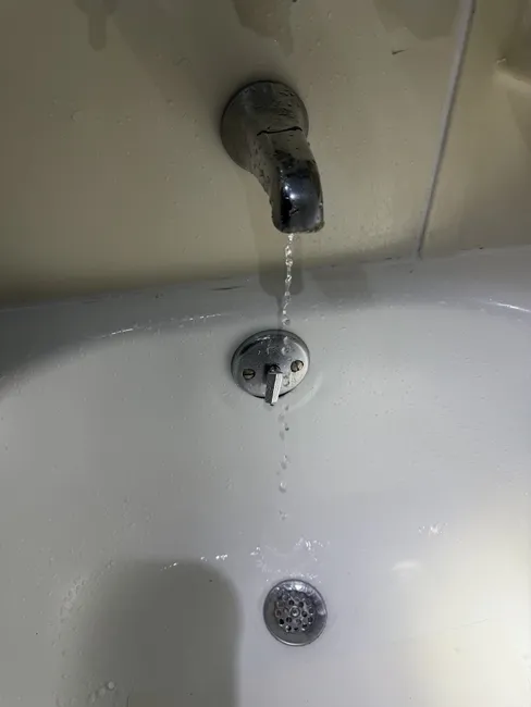 Shower Valve Repair