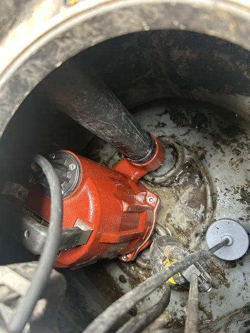 Job in San Diego
