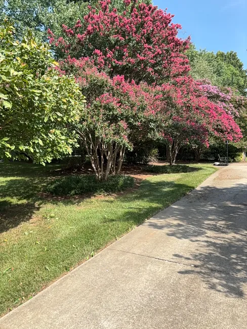 Job in Greensboro