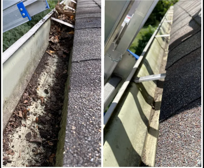 Carpet & Gutter Cleaning