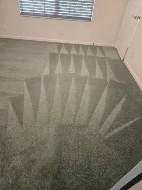 Carpets in Jupiter were revived with specialized cleaning solutions, leaving them spotless and refreshed.