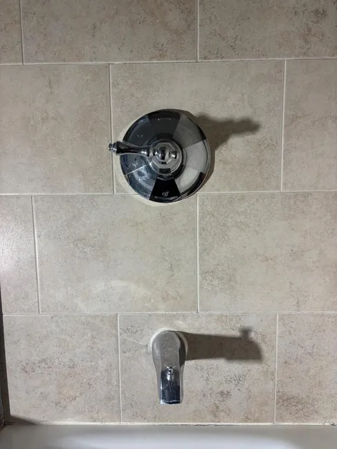 A leaky shower cartridge was replaced, and the water heater was flushed to enhance efficiency and longevity.