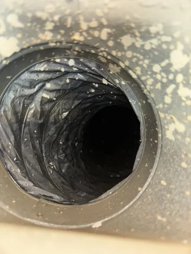 photo at Wichita, KS on Aug 14, 2026: A mold evaluation was necessary after identifying growth in the basement. We conducted a thorough a photo at Wichita, KS on Aug 14, 2026: A mold evaluation was necessary after identifying growth in the basement. We conducted a thorough a