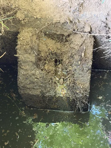 photo at Springfield, TN on Jun 04, 2026: To maintain proper waste management, we pumped the septic tank at the property. The process include photo at Springfield, TN on Jun 04, 2026: To maintain proper waste management, we pumped the septic tank at the property. The process include