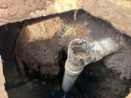 photo at White House, TN on Jun 05, 2026: A septic system pumping was performed for the property in White House. We excavated to locate the s photo at White House, TN on Jun 05, 2026: A septic system pumping was performed for the property in White House. We excavated to locate the s