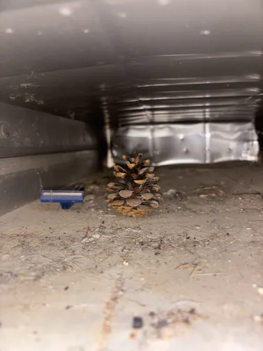 photo at Cheney, KS on Sep 18, 2026: A detailed air duct cleaning was performed for a home in Cheney. We effectively cleaned up to 16 ve photo at Cheney, KS on Sep 18, 2026: A detailed air duct cleaning was performed for a home in Cheney. We effectively cleaned up to 16 ve