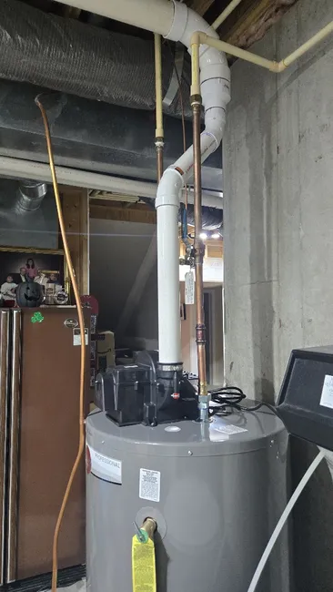 Job in Edina