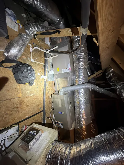 Job in Cedar Park