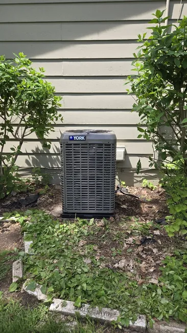 Job in Minnetrista