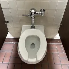 Toilet Running