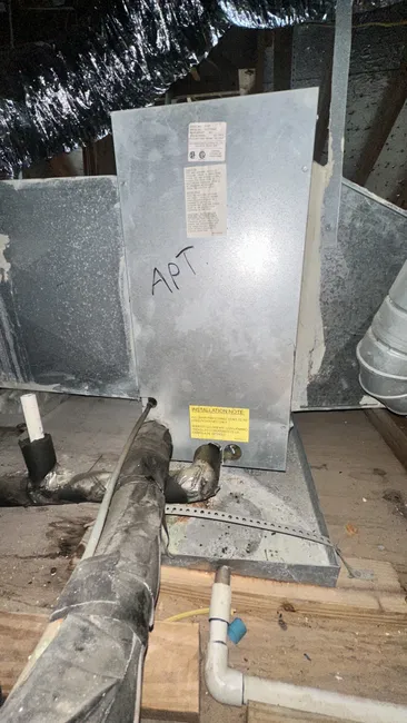Job in Rosenberg