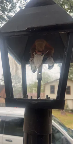 photo at Spring, TX on Dec 12, 2025: The lantern was not functioning due to a lack of gas supply. After removing the gas lantern, we dis