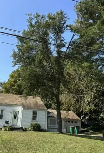 photo at Poughkeepsie, NY on Sep 15, 2024: After a storm in June caused a limb to break off a tree and damage a vehicle, we were called to add