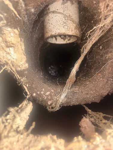 photo at Bethpage, TN on Jul 02, 2026: A septic tank needed servicing to ensure it was operating correctly. We pumped the septic tank and photo at Bethpage, TN on Jul 02, 2026: A septic tank needed servicing to ensure it was operating correctly. We pumped the septic tank and