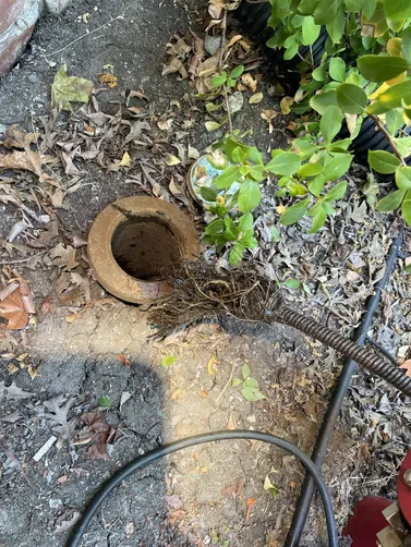 photo at Pleasant Hill, CA on Apr 07, 2026: To address a leaking toilet at the base, we discovered a clogged drain caused by root intrusion. Us