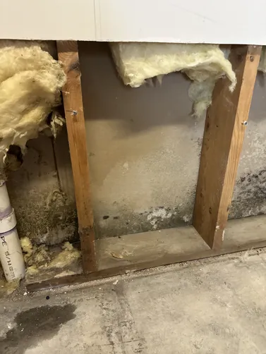 photo at Wichita, KS on Sep 14, 2026: A mold remediation project was undertaken to address a mold issue at a property in Wichita. We meti photo at Wichita, KS on Sep 14, 2026: A mold remediation project was undertaken to address a mold issue at a property in Wichita. We meti