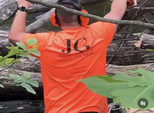 photo at Pleasant Valley, NY on May 04, 2022: Multiple hazardous, dying trees were threatening the safety of the backyard and blocking sunlight. 