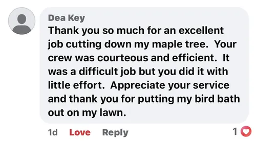 photo at Arlington, NY on Jul 17, 2025: A dead maple tree posed a risk by being intertwined with power and cable lines in the center front 