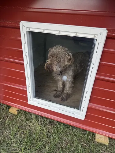 photo at Hallsville, TX on Dec 11, 2025: 4x4 Dog House with flooring and welded frame-ct added doggy door flap after pick up-**Picked up 