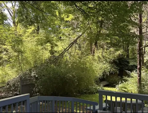photo at Staatsburg, NY on Jul 07, 2024: Storm-damaged trees posed a significant risk to the property, requiring immediate attention. We eff