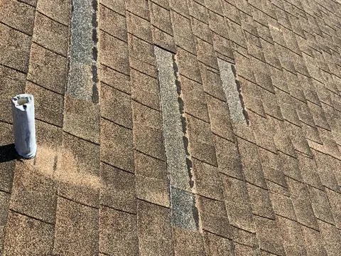 Shingle Roof Replacement