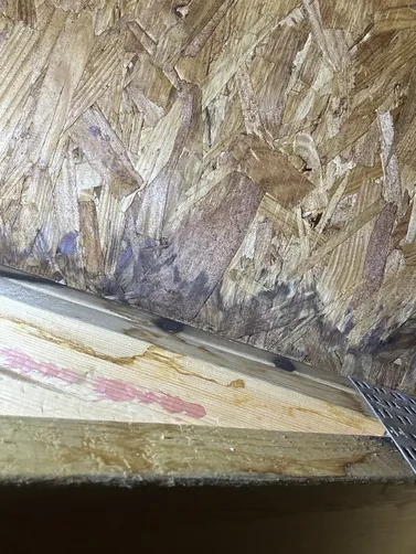 photo at Wichita, KS on Sep 02, 2026: A leak from the dishwasher in the kitchen island led to the discovery of mold on the subflooring. W photo at Wichita, KS on Sep 02, 2026: A leak from the dishwasher in the kitchen island led to the discovery of mold on the subflooring. W