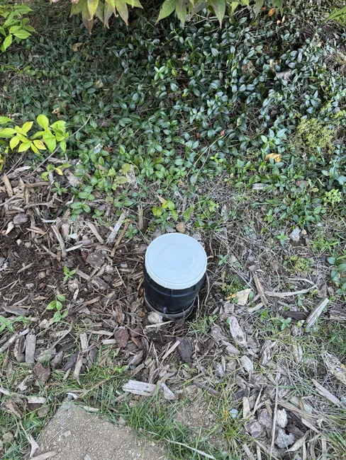 Drain Cleaning