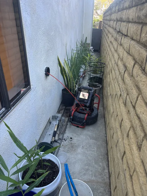 Job in Newport Beach