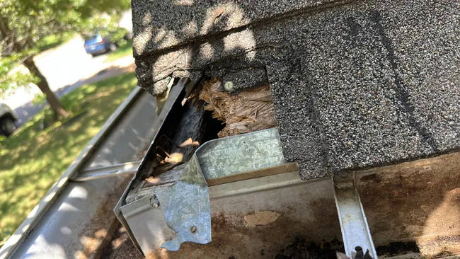 Gutter Cleaning In Circle C Ranch