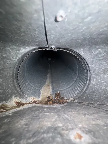 photo at Valley Center, KS on Sep 30, 2026: A recent mold evaluation was conducted in the Valley Center area to ensure the home's safety and co