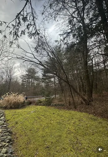 photo at Staatsburg, NY on Jul 07, 2024: Storm-damaged trees posed a significant risk to the property, requiring immediate attention. We eff