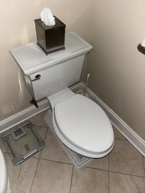 Pull And Reset Toilet