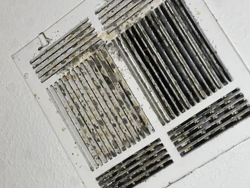 photo at Wichita, KS on Sep 24, 2026: After detecting mold near the vents, we conducted a thorough mold evaluation at the homeowner's req photo at Wichita, KS on Sep 24, 2026: After detecting mold near the vents, we conducted a thorough mold evaluation at the homeowner's req