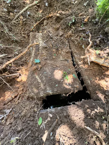 photo at Nashville, TN on Jun 02, 2026: A clogged septic system prompted the need for our services. We successfully pumped the septic syste photo at Nashville, TN on Jun 02, 2026: A clogged septic system prompted the need for our services. We successfully pumped the septic syste