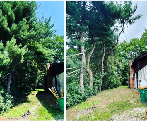 photo at Poughkeepsie, NY on Apr 14, 2023: With an overgrown property that had become unmanageable, we revitalized the landscape by trimming b