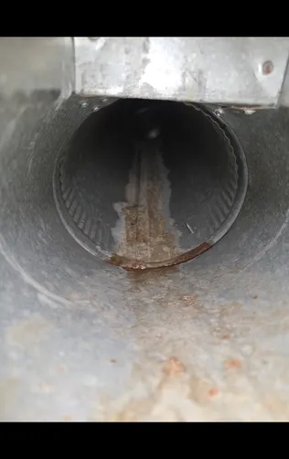 photo at Newton, KS on Sep 21, 2026: A thorough air duct cleaning was performed to address the nine vents in the homeowner's unfinished photo at Newton, KS on Sep 21, 2026: A thorough air duct cleaning was performed to address the nine vents in the homeowner's unfinished