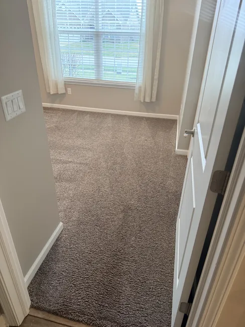 Carpet Cleaning + Tile Shower Cleaning