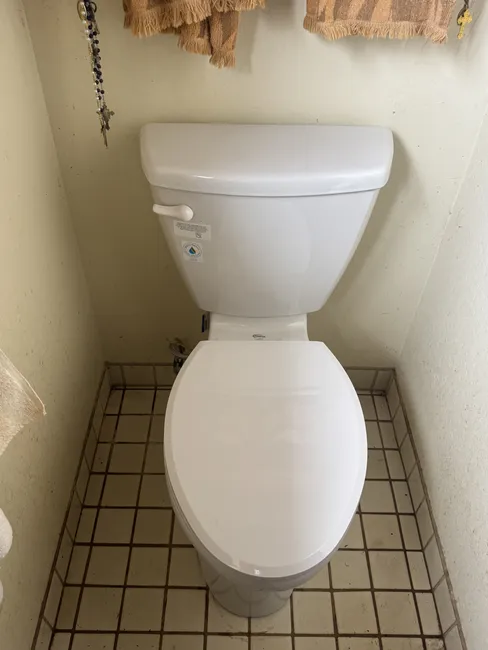 Pull & Reset Toilet