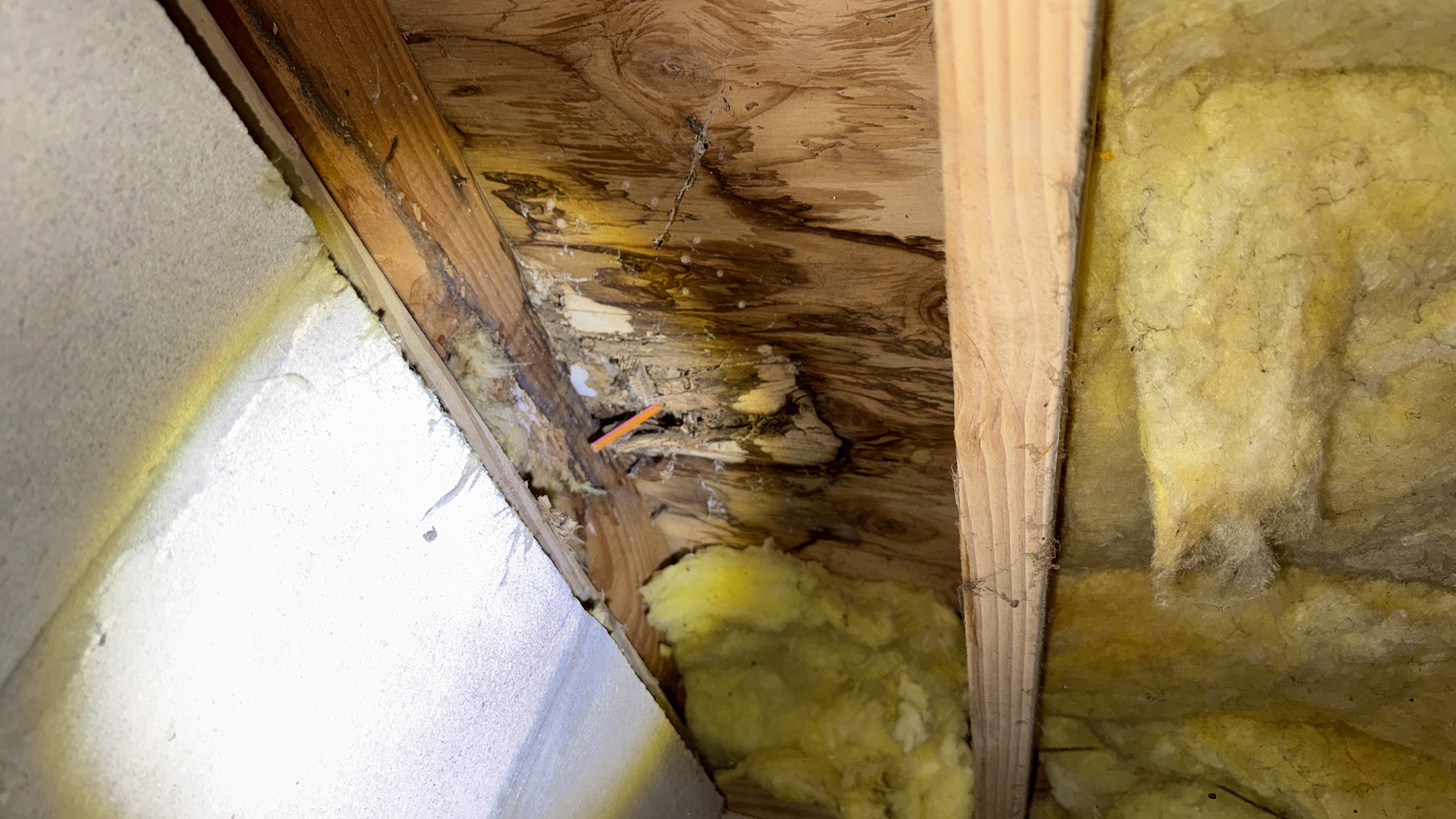Termite and vent work at a Barnegat home, June 2026