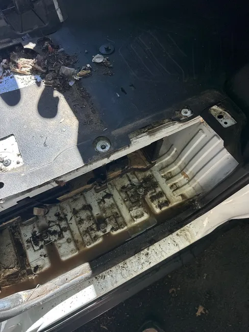 Musty Smell In New Transit Van