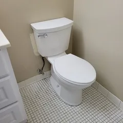 Toilet Replacement
