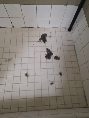 photo at Tulsa, OK on May 15, 2026: A clogged shower prompted our visit to Tulsa. We tackled the blockage efficiently, ensuring smooth photo at Tulsa, OK on May 15, 2026: A clogged shower prompted our visit to Tulsa. We tackled the blockage efficiently, ensuring smooth