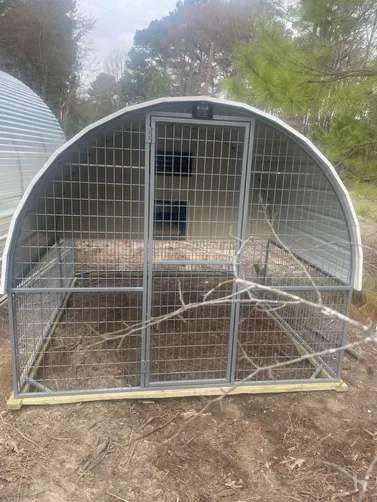 photo at Quitman, TX on Feb 17, 2026: undefined