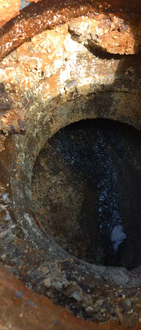 Drain Inspection For Jimmy Johns