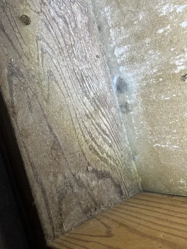 photo at Andover, KS on Aug 18, 2026: A mold evaluation was conducted at a basement in Andover after the homeowner suspected the presence photo at Andover, KS on Aug 18, 2026: A mold evaluation was conducted at a basement in Andover after the homeowner suspected the presence