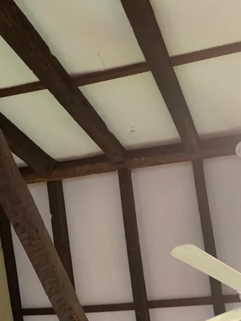 Roof and plywood replacement 
