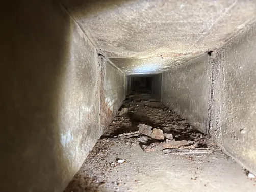 photo at Park City, KS on Aug 18, 2026: A mold issue required immediate attention in Park City. We conducted thorough mold remediation to e photo at Park City, KS on Aug 18, 2026: A mold issue required immediate attention in Park City. We conducted thorough mold remediation to e
