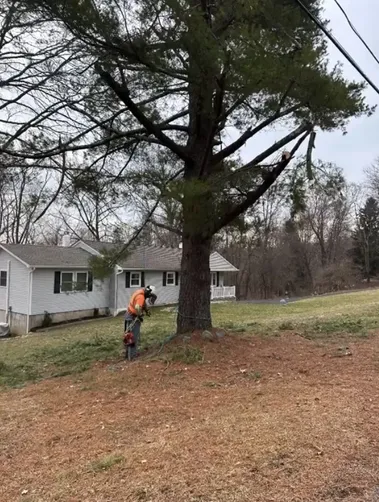 photo at Wappingers Falls, NY on May 18, 2022: The sloping issues in the lawn prompted us to grade the area, lay down soil and seed to establish a
