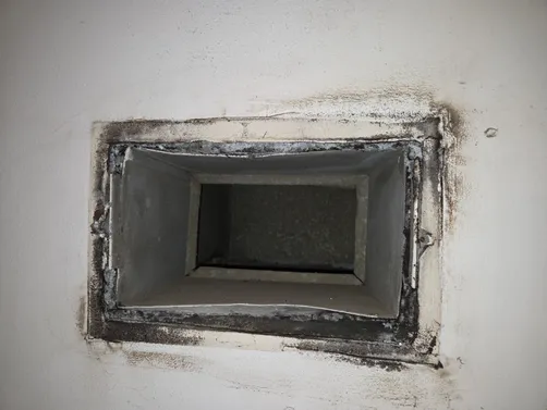 photo at undefined, undefined on Sep 10, 2026: Mold detection in the crawl space prompted us to conduct thorough air duct cleaning for 11 vents. W photo at undefined, undefined on Sep 10, 2026: Mold detection in the crawl space prompted us to conduct thorough air duct cleaning for 11 vents. W
